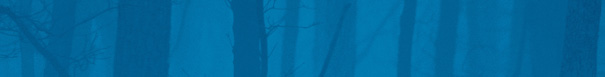 bluebanner