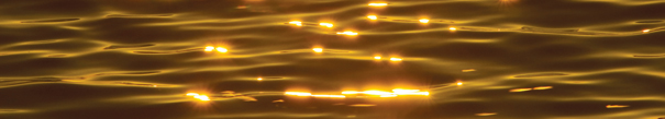goldenwater