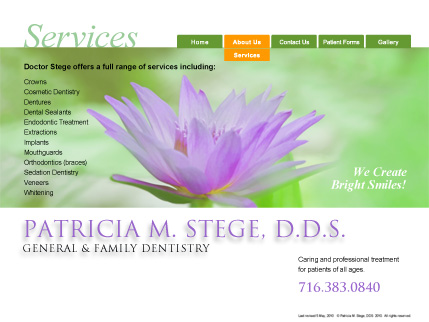 stege_dds_services